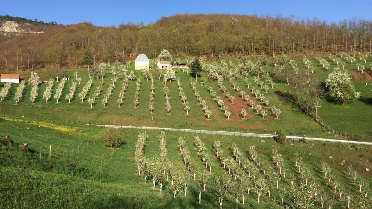 Kljajevica Orchard Guest House Pljevlja Exterior photo